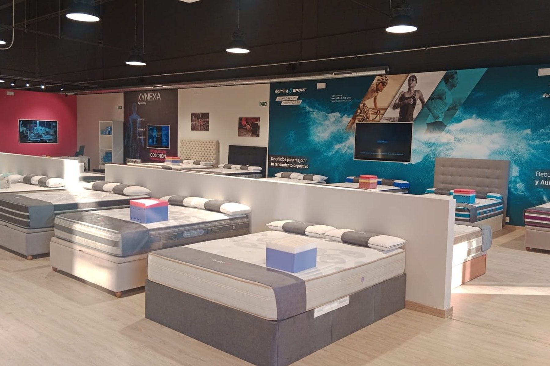 zona de exposición
